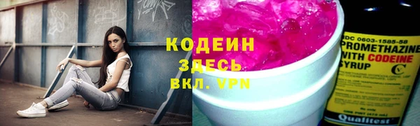 прущие крисы Абаза