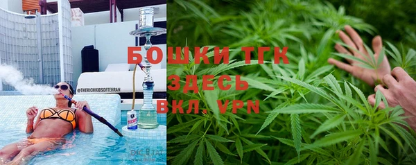 прущие грибы Алексин