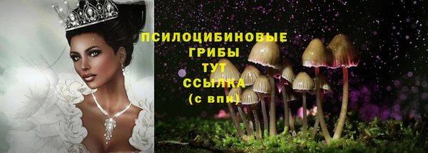 прущие крисы Абаза